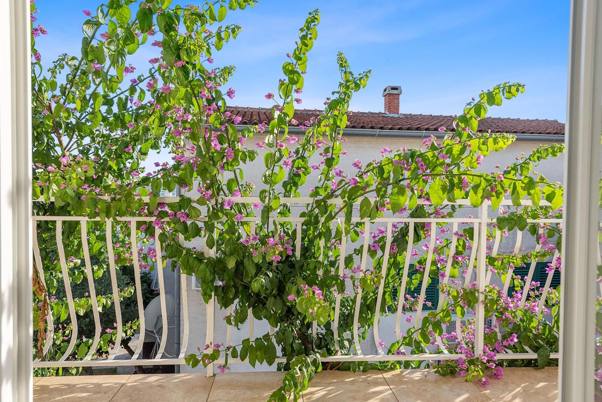 Apartments Petrina Sveti Filip i Jakov Buitenkant foto